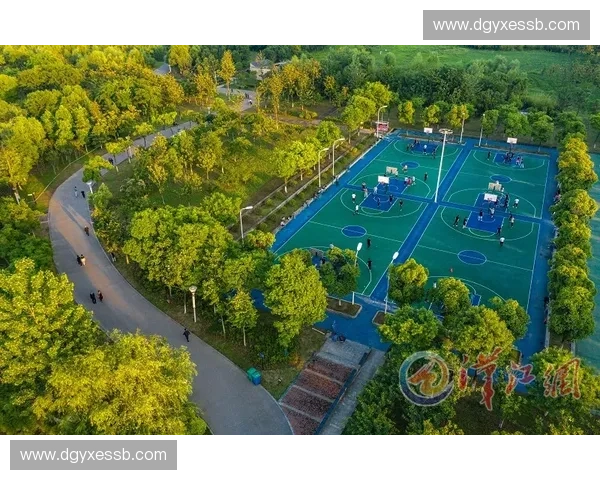 创新体育项目开发与市场拓展策略研究：提升全民健身与体育产业融合发展